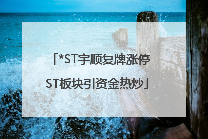 *ST宇顺复牌涨停 ST板块引资金热炒