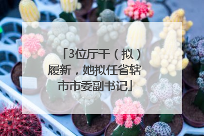 3位厅干（拟）履新，她拟任省辖市市委副书记