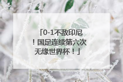 0-1不敌印尼！国足连续第六次无缘世界杯！