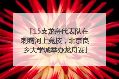 15支龙舟代表队在刺猬河上竞技，北京良乡大学城举办龙舟赛