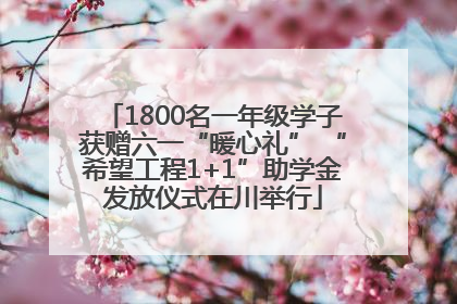 1800名一年级学子获赠六一“暖心礼” “希望工程1+1”助学金发放仪式在川举行