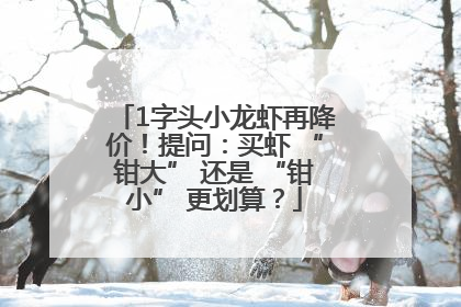 1字头小龙虾再降价！提问：买虾 “钳大” 还是 “钳小” 更划算？