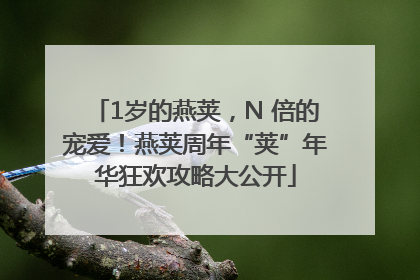 1岁的燕荚，N 倍的宠爱！燕荚周年“荚”年华狂欢攻略大公开