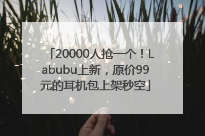 20000人抢一个！Labubu上新，原价99元的耳机包上架秒空