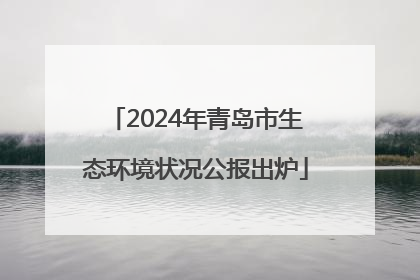 2024年青岛市生态环境状况公报出炉