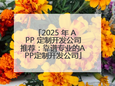 2025 年 APP 定制开发公司推荐：靠谱专业的APP定制开发公司