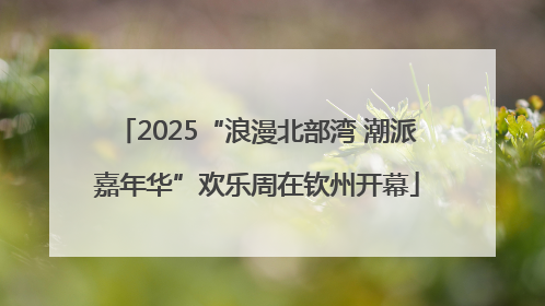 2025“浪漫北部湾 潮派嘉年华”欢乐周在钦州开幕