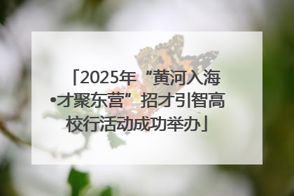2025年“黄河入海•才聚东营”招才引智高校行活动成功举办