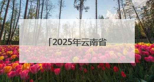 2025年云南省青少年足球春季学期周末联赛冠亚季军揭晓 职业球星与足球小将共享荣耀时刻