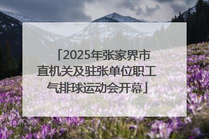 2025年张家界市直机关及驻张单位职工气排球运动会开幕