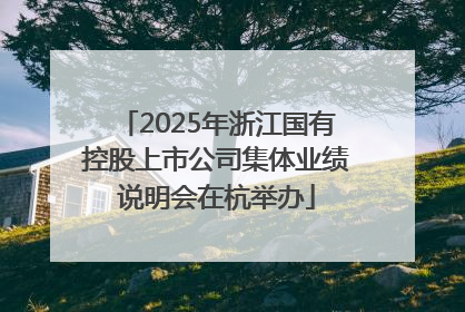 2025年浙江国有控股上市公司集体业绩说明会在杭举办