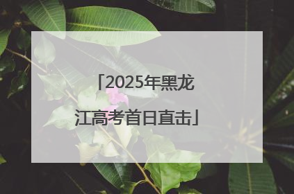 2025年黑龙江高考首日直击