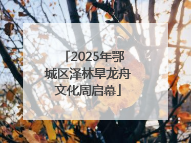 2025年鄂城区泽林旱龙舟文化周启幕