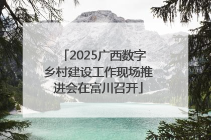 2025广西数字乡村建设工作现场推进会在富川召开
