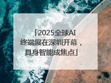 2025全球AI终端展在深圳开幕，具身智能成焦点