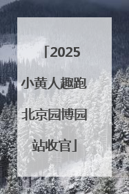 2025小黄人趣跑北京园博园站收官