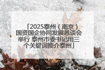 2025泰州（南京）国资国企协同发展恳谈会举行 泰州市委书记用三个关键词推介泰州