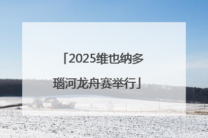 2025维也纳多瑙河龙舟赛举行