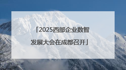 2025西部企业数智发展大会在成都召开