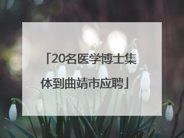20名医学博士集体到曲靖市应聘