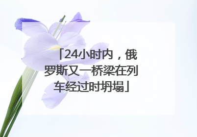 24小时内，俄罗斯又一桥梁在列车经过时坍塌