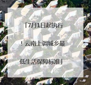 7月1日起执行！云南上调城乡最低生活保障标准