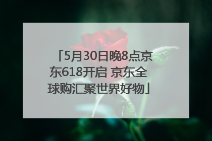 5月30日晚8点京东618开启 京东全球购汇聚世界好物