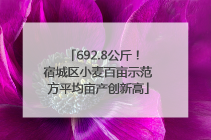 692.8公斤！宿城区小麦百亩示范方平均亩产创新高