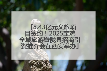 8.43亿元文旅项目签约！2025宝鸡全域旅游暨陇县招商引资推介会在西安举办
