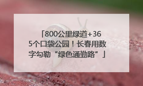 800公里绿道+365个口袋公园！长春用数字勾勒“绿色通勤路”