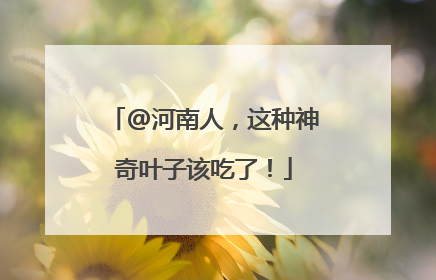 @河南人，这种神奇叶子该吃了！