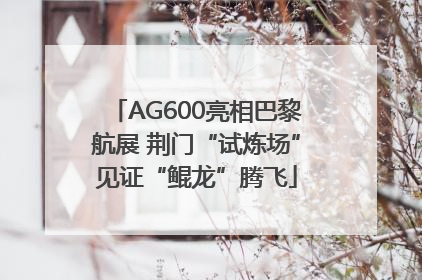 AG600亮相巴黎航展 荆门“试炼场”见证“鲲龙”腾飞