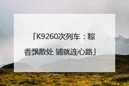 K9260次列车：粽香飘散处 铺就连心路