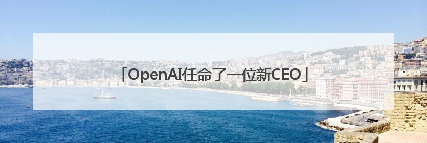 OpenAI任命了一位新CEO