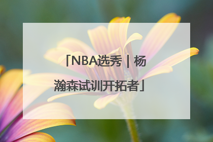 NBA选秀｜杨瀚森试训开拓者