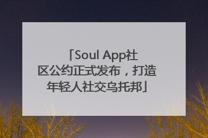 Soul App社区公约正式发布，打造年轻人社交乌托邦
